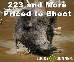 223 hog hunting ammo at lucky gunner